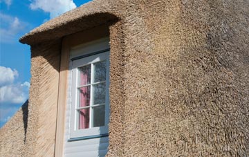 Westvale thatch roof disadvantages